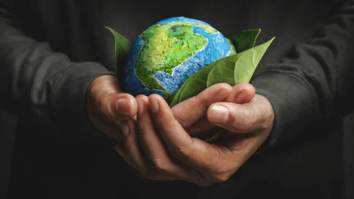 Servicio de Higiene Ambiental